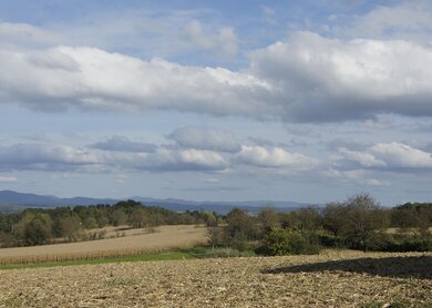 Blick auf die Landschaft, ein Feld im Sundgau im Elsass, Frankreich | © pixabay/OudsidEscape