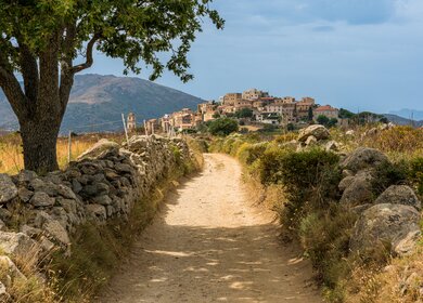 Das schoene Dorf Sant'Antonino an einem Sommermorgen in Korsika, Frankreich.  | © Gettyimages.com/e55evu
