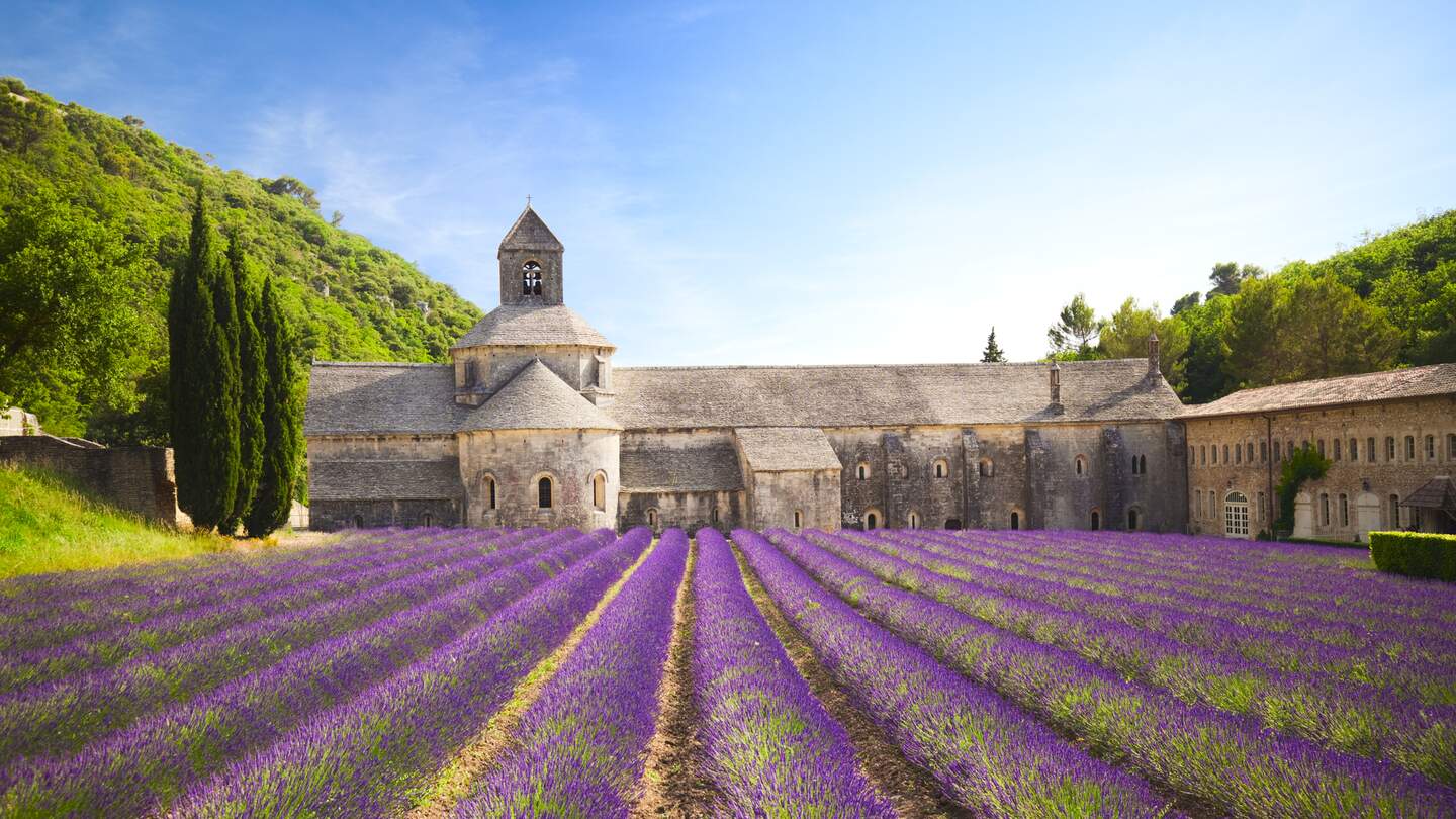 "Senanque Abtei mit bluehendem Lavendelfeld (Provence, Frankreich) | © Gettyimages.com/brzozowska