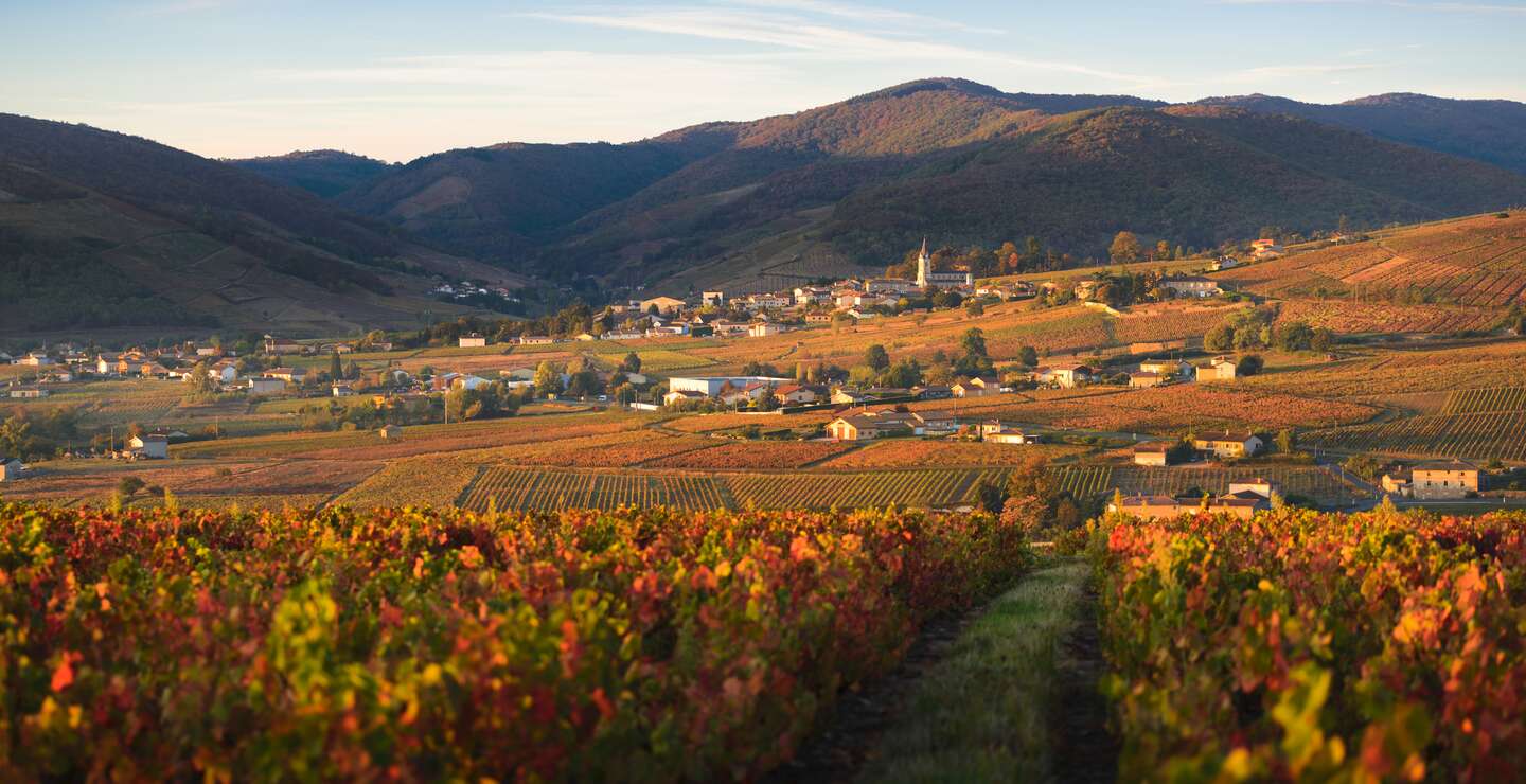 Herbstfarben im Dorf Quincie-en-Beaujolais im Beaujolais in Frankreich | © Gettyimages.com/Gael Fontaine