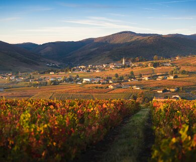 Herbstfarben im Dorf Quincie-en-Beaujolais im Beaujolais in Frankreich | © Gettyimages.com/Gael Fontaine