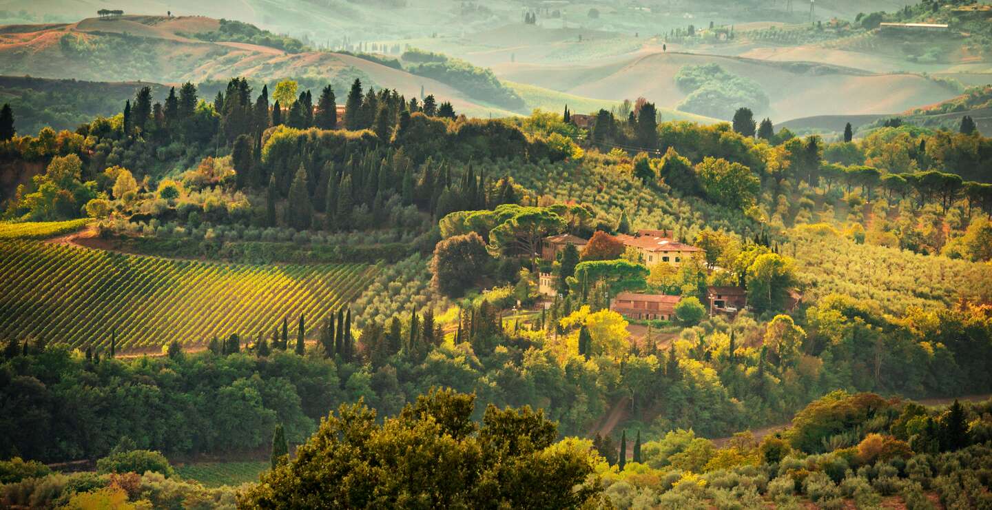 Toskana Landschaft Ansicht von gruenen Huegeln mit Zypressen gesaeumt Italien | © gettyimages.com/Dar1930