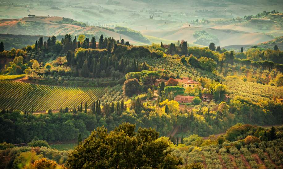 Toskana Landschaft Ansicht von gruenen Huegeln mit Zypressen gesaeumt Italien | © gettyimages.com/Dar1930