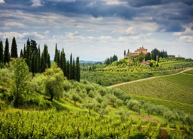 Die Chianti-Berge (auch bekannt als Chianti-Gebirge) sind eine kurze Bergkette (ca. 20 km), die sich ueber die Provinzen Florenz, Siena und Arezzo erstreckt und die oestliche Grenze der Chianti-Region mit dem Valdarno und dem Val di Chiana markiert. Die Chianti-Huegel sind beruehmt fuer die Weinberge, in denen Sie einen Wein erhalten, der auf der ganzen Welt bekannt ist. | © Gettyimages.com/massimosanti