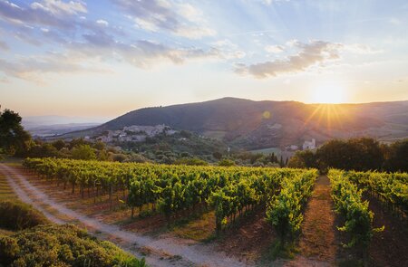 Weinberge und Weingut inmitten von Huegeln, laendliche Landschaft | © gettyimages.com/HelloLovely