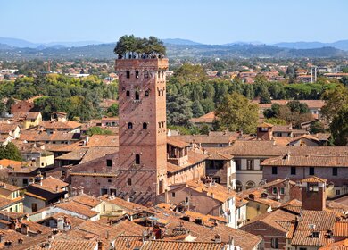 Mittelalterlicher Torre Guinigi im Zentrum von Lucca in der Toskana mit Steineichen auf dem Dach | © Gettyimages.com/Sergey Dzyuba