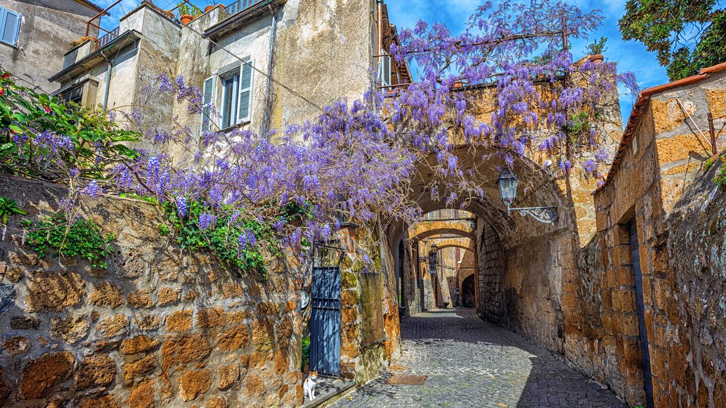 Typische mediterrane Strasse mit bluehendem Blauregen in Orvieto | © Gettyimages.com/Xantana