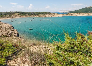 Blick auf den Strand Podsilo auf Rab in Kroatien | © Gettyimages.com/Nico_Campo