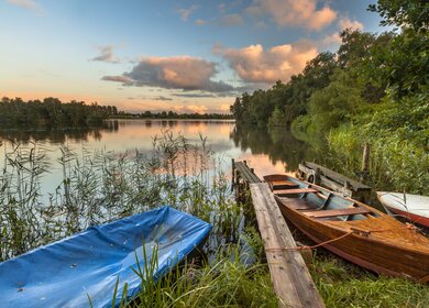 Ruderboote im Schilf am Seeufer waehrend eines wunderschoenen Sommersonnenuntergangs | © Gettyimages.com/creativernature_nl