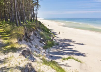 Sommerszene mit Pfad im Wald am Meeresufer, Łeba, Ostsee, Polen Weg an der Kueste und Ostsee | © Gettyimages.com/ewg3d