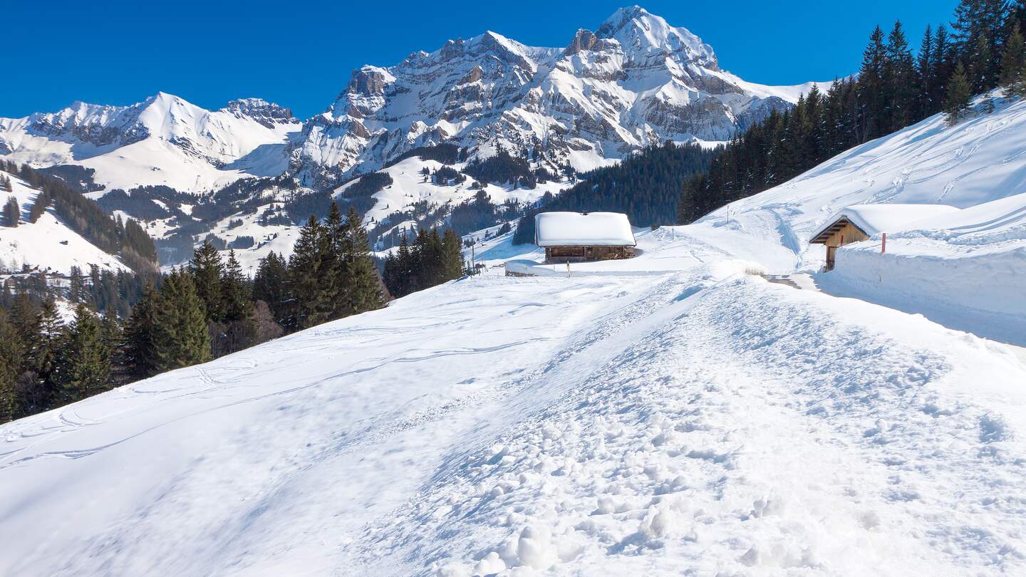 Wunderschoene Aussicht auf den Schweizer Alpen, Berner Alpen, Adelboden | © Gettyimages.com/gevision