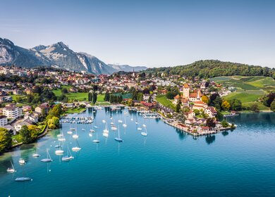 Blick auf den Thuner See, im Hintergrund ist ein Dorf und dahinter Berge. Das Schloss Spiez ist zu sehen. | © Gettyimages.com/JaCZhou