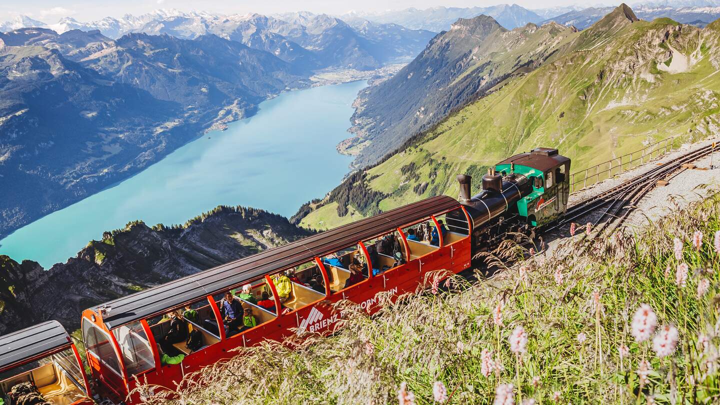 Bergansteigende Fahrt der Brienz-Rothorn-Bahn mit Blick auf den Brienzersee und die Berner Alpen im Hintergrund im Sommer. | © Schweiz Tourismus/Rabea Hueppi