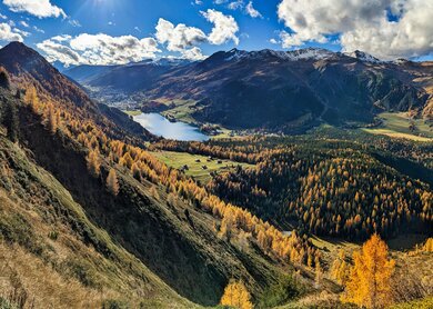 Schoene Herbstwanderung ueber dem Davosersee. Farbige Laerchenwaelder. Bergpanorama in Davos Klosters Mountains.  | © Gettyimages.com/ganztwins