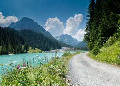 Sommerliche Berglandschaft mit tuerkisfarbenem See und Schotterstrasse gesaeumt von Wildblumen in den Schweizer Alpen bei Arosa | © Gettyimages.com/makasana