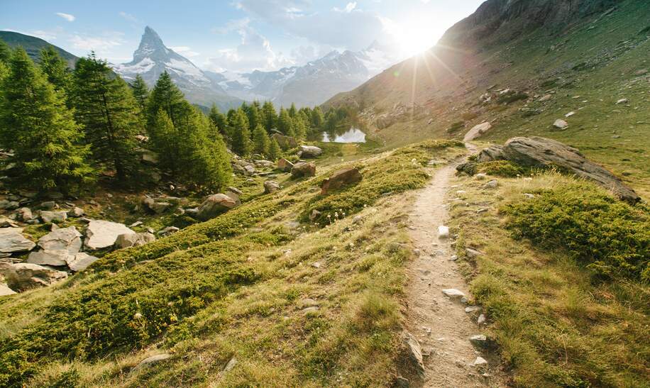 Wanderweg mit Blick auf das Matterhorn in Zermatt bei Sonnenschein | © Gettyimages.com/4maksym