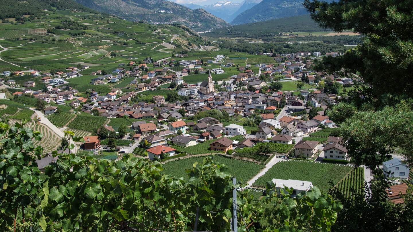 Blick auf Salgesch, im Wallis, von Weinbergen aus | © Gettyimages.com/louis bertrand
