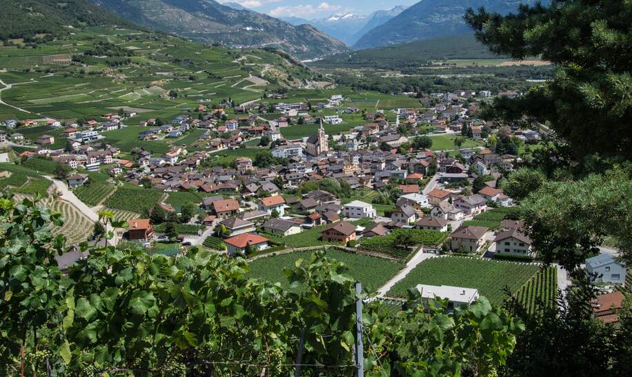 Blick auf Salgesch, im Wallis, von Weinbergen aus | © Gettyimages.com/louis bertrand