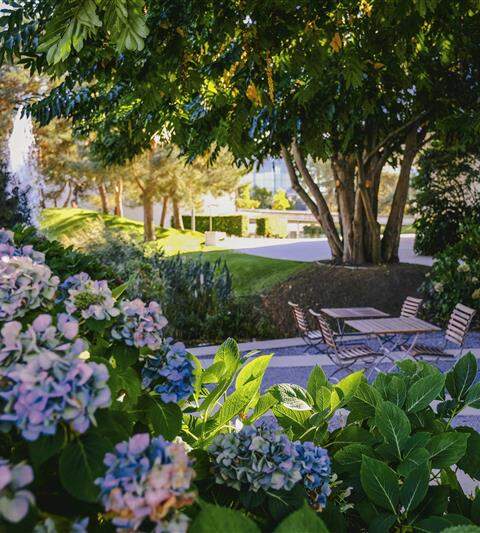 Parklandschaft in der Autostadt Wolfsburg | © Janina Snatzke
