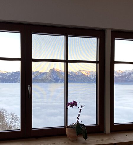 Zimmer mit Aussicht | © lucyd