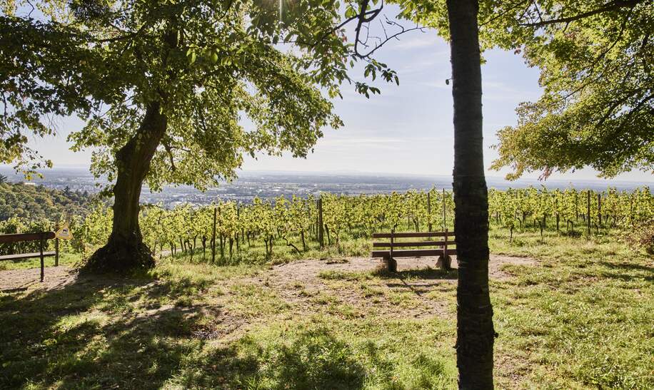 Fruehere Sommerresidenz und heutiger Park Staatspark Fuerstenlager | © HA Hessen Tourismus, Roman Knie