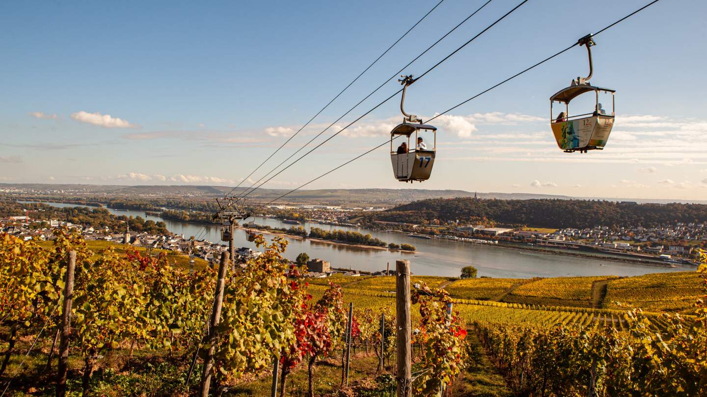 Gondeln ueber den Rheingauer Weinbergen im Herbst | © HA Hessen Tourismus, k22