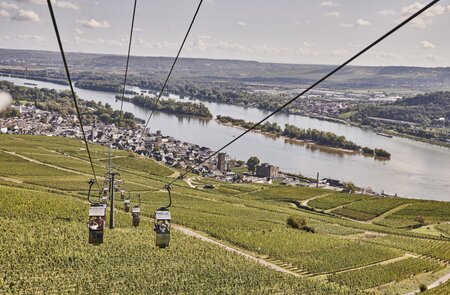urlaub hessen ruedesheim | © Hessen Tourismus, Roman Knie