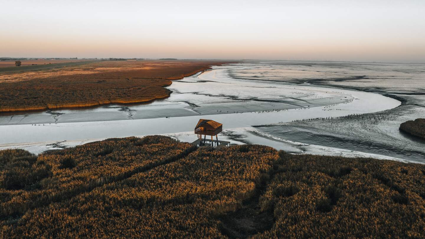 Naturschutzgebiet in den Niederlanden | © Sjoerd Bracke & Cuno de Bruin