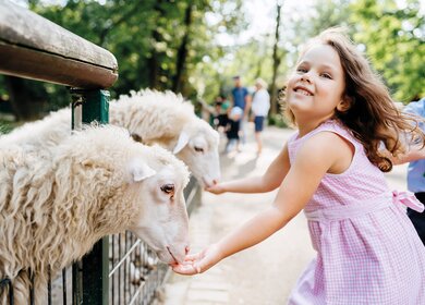 Ein Mädchen streichelt fröhlich zwei Schafe im Tiergehege Kaisergarten | © Sebastian Becker