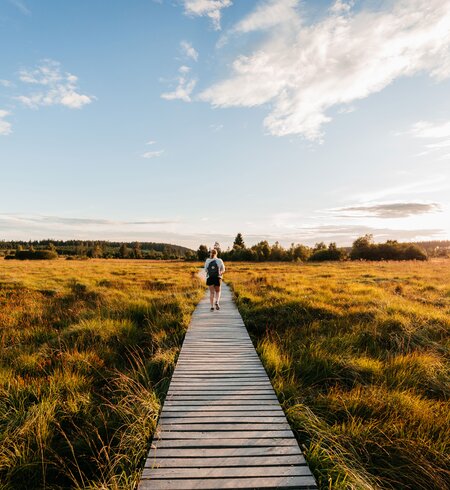 Steg im Hohen Venn in Wallonien, Belgien | © VisitWallonie/Maxime du Bus