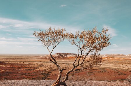 Cooper Pedy, Australien, The Ghan | © JBR