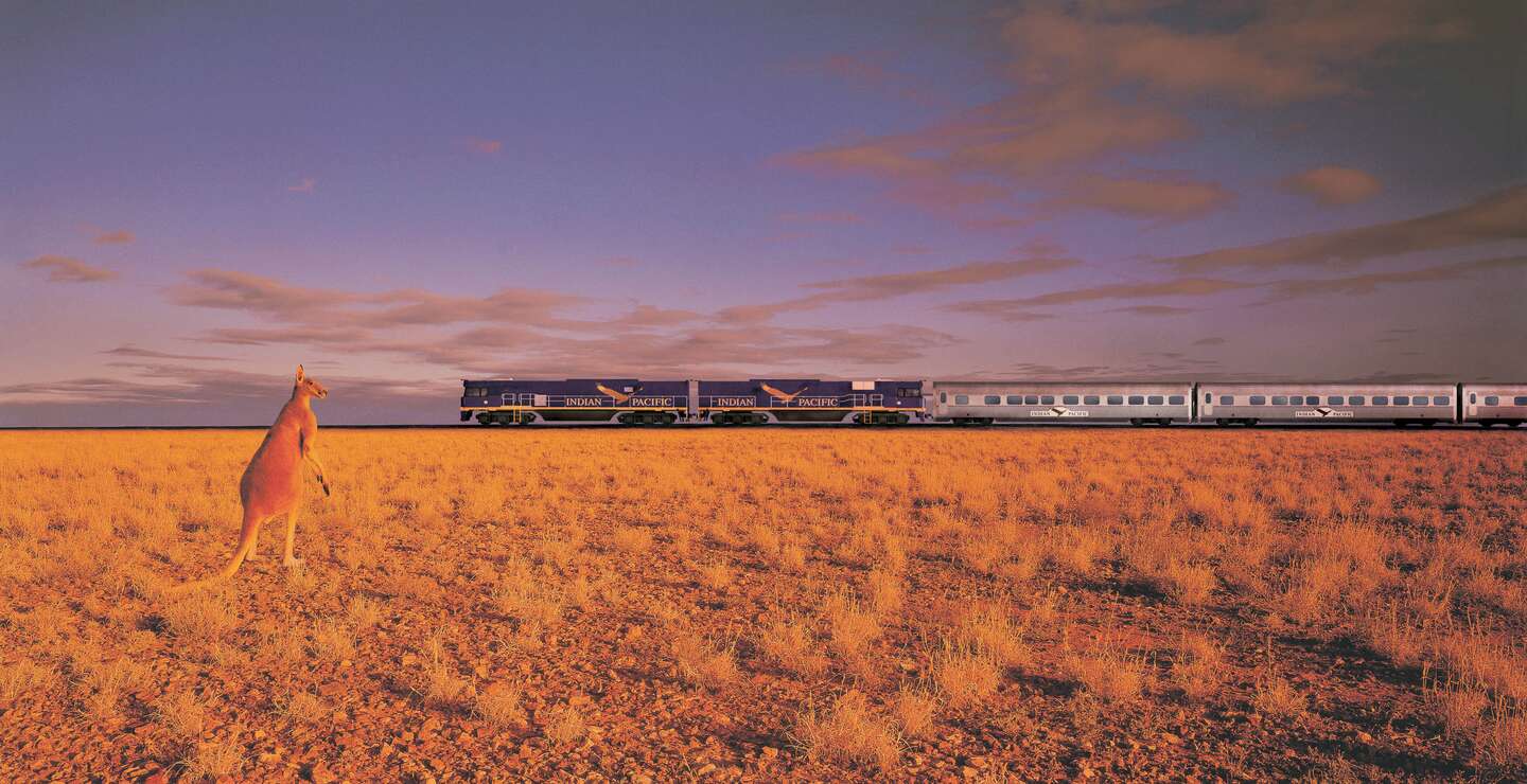 Ein Känguru steht im weiten, offenen Feld des australischen Outbacks, während im Hintergrund ein langer Passagierzug vorbeifährt | © Copyright 2004 Adobe Systems, inc