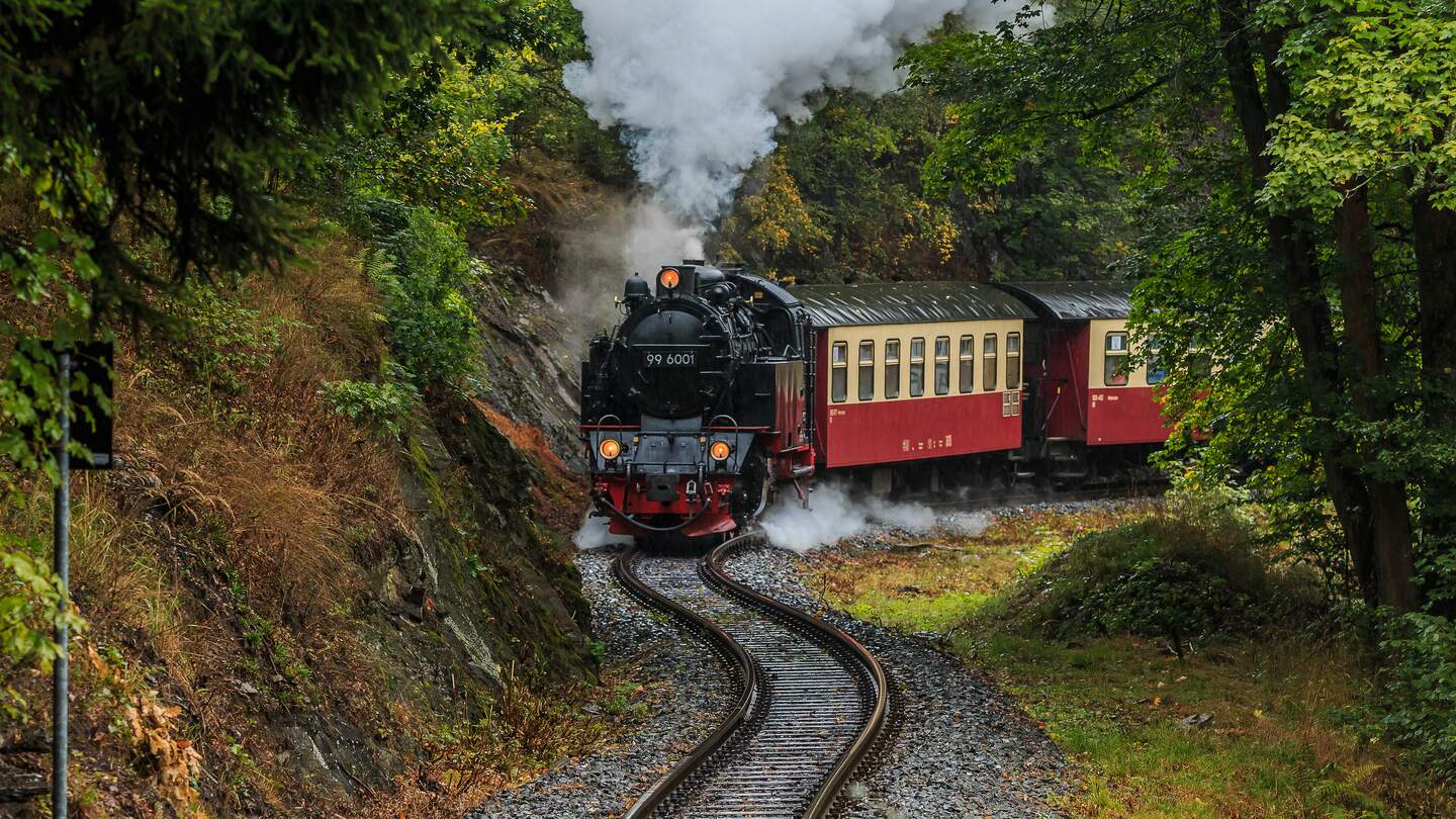 Schmalspurbahn im Wald auf dem Brocken im Harz im herbstlichen Wetter  | © Gettyimages.com/Marco Ritzki