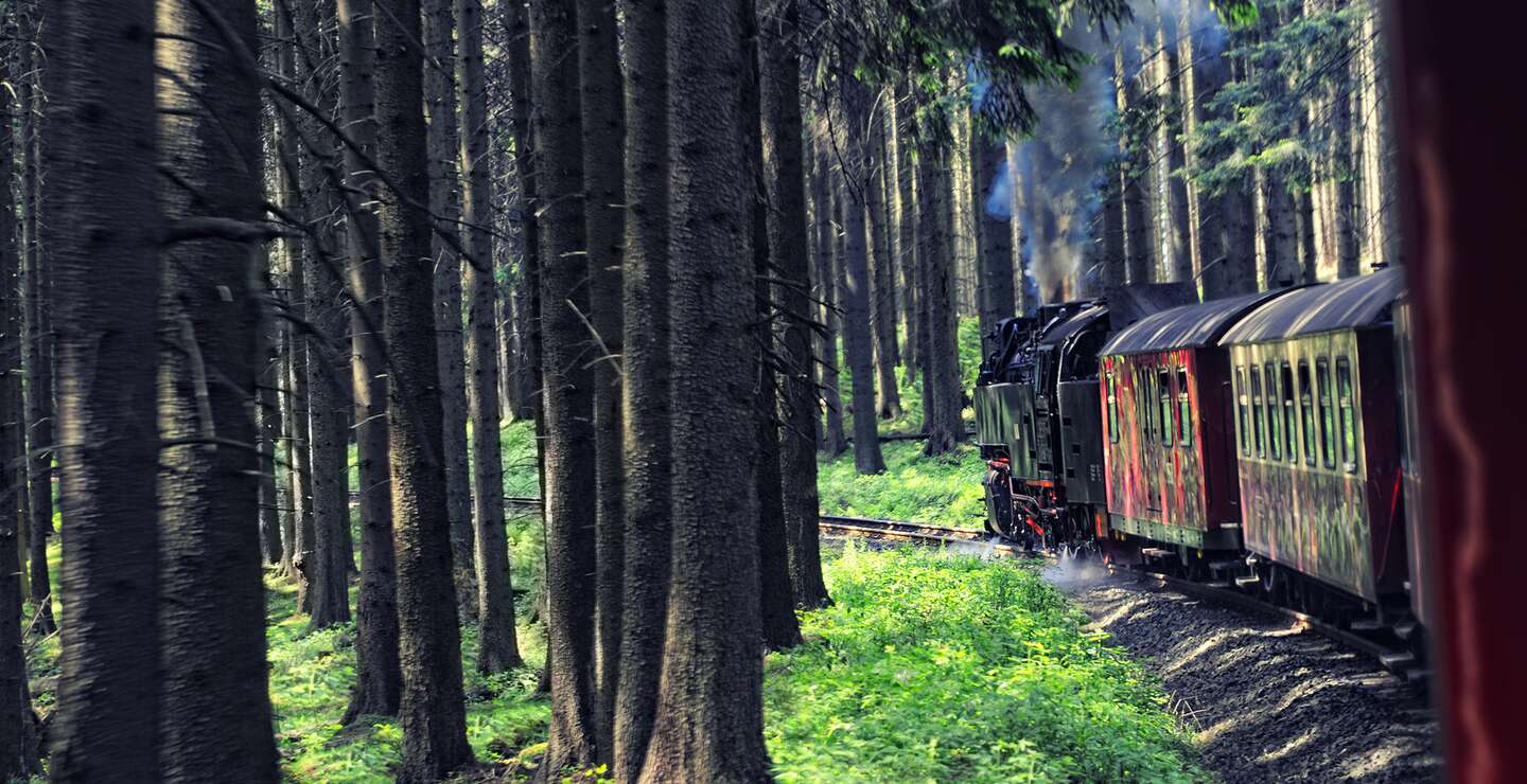 Schmalspurbahn im Wald zwischen Tannenbaeumen auf dem Brocken im Harz  | © Gettyimages.com/hsvrs