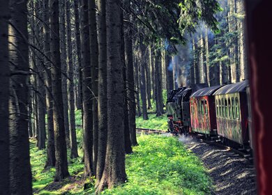 Schmalspurbahn im Wald zwischen Tannenbaeumen auf dem Brocken im Harz  | © Gettyimages.com/hsvrs