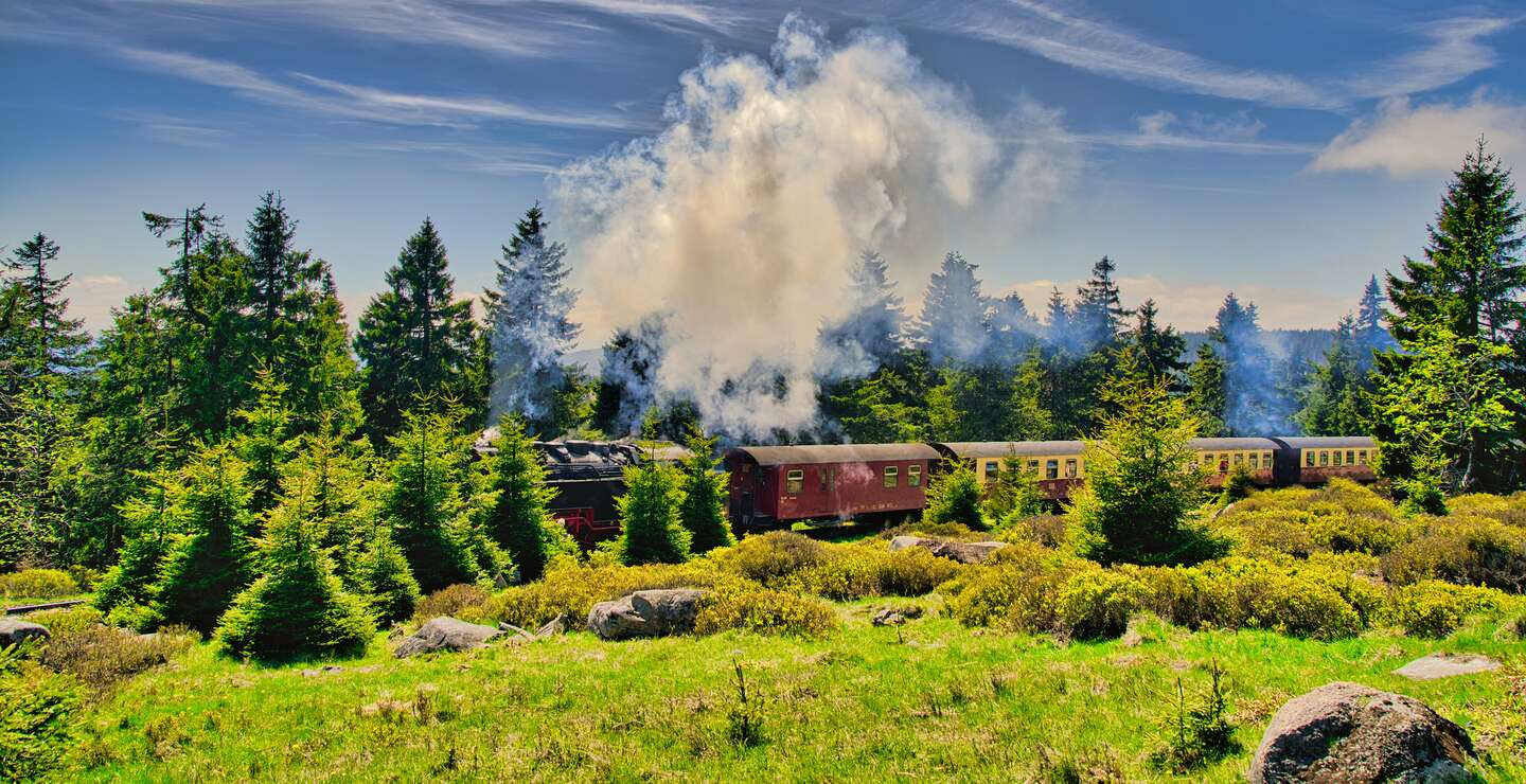 Brockenbahn auf ihrem dem Weg auf den Brocken | © Gettyimages.com/ezypix