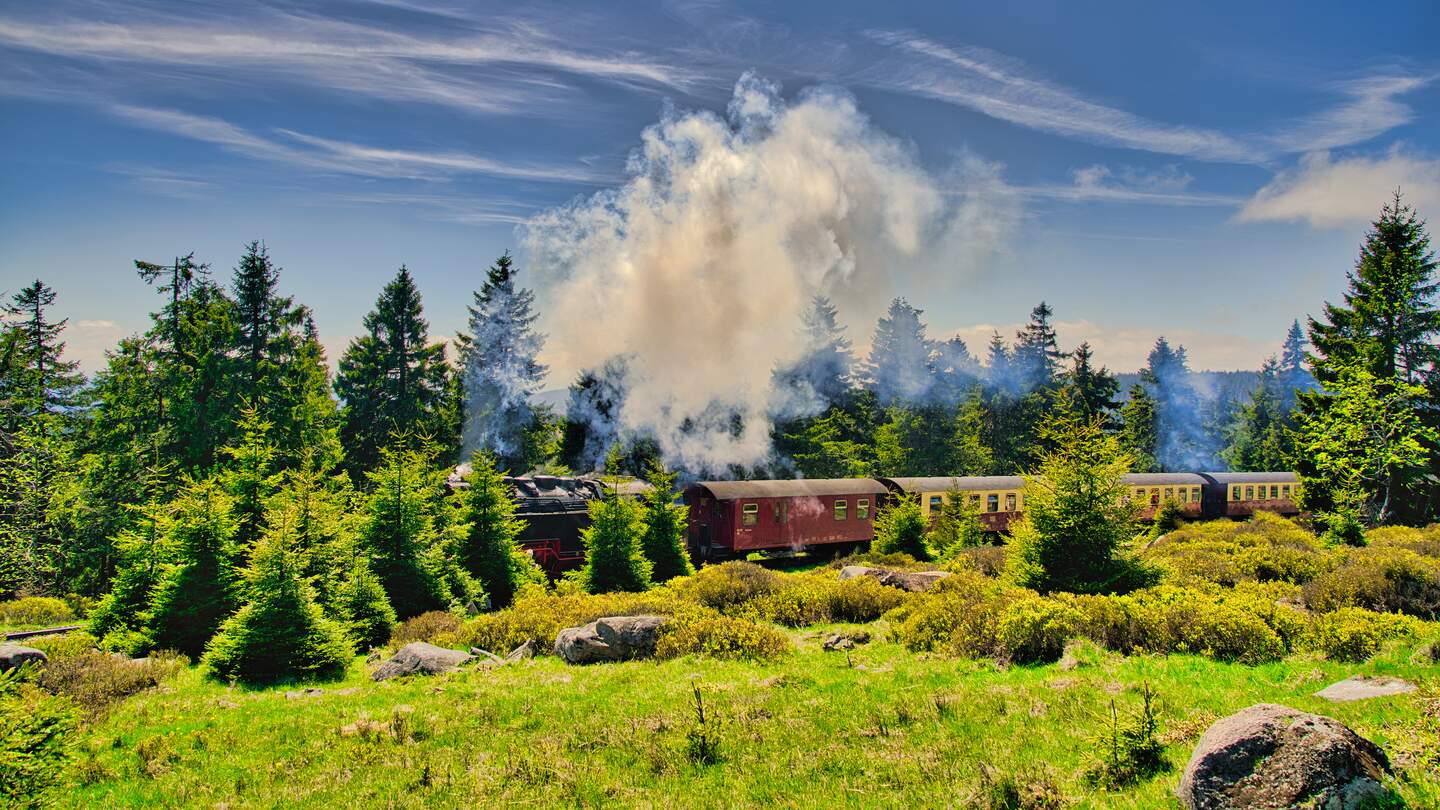 Brockenbahn auf ihrem dem Weg auf den Brocken | © Gettyimages.com/ezypix