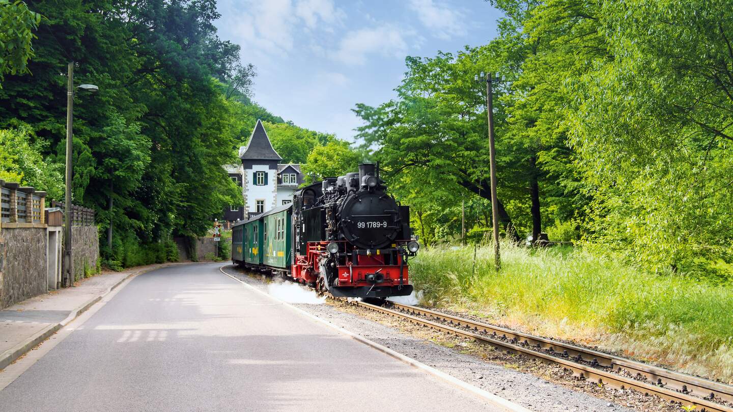 Die historische Loessnitzgrundbahn mit einer Dampflolomotive fährt im Sommer an der Bilz Meierei vorbei, Sachsen | © Kati Schmidt
