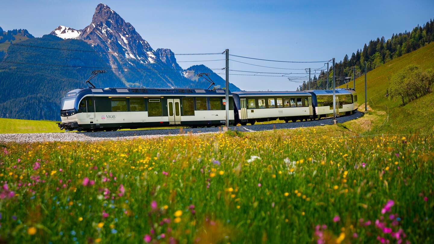 GoldenPass Panoramic faehrt in Schönried in der Schweiz im Fruehling | © MOB/Valentin Flauraud  