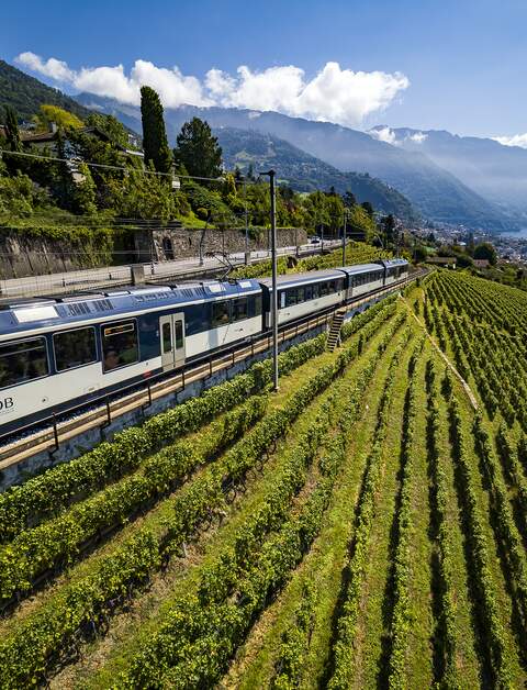 Die GoldenPass Line fährt durch die Weinberge in der Schweiz.  | ©  VALENTIN FLAURAUD / VFPIX.COM
