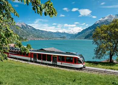 Luzern-Interlaken Express faehrt vorbei am Brienzersee in der Schweiz im Sommer | © zb Zentralbahn AG