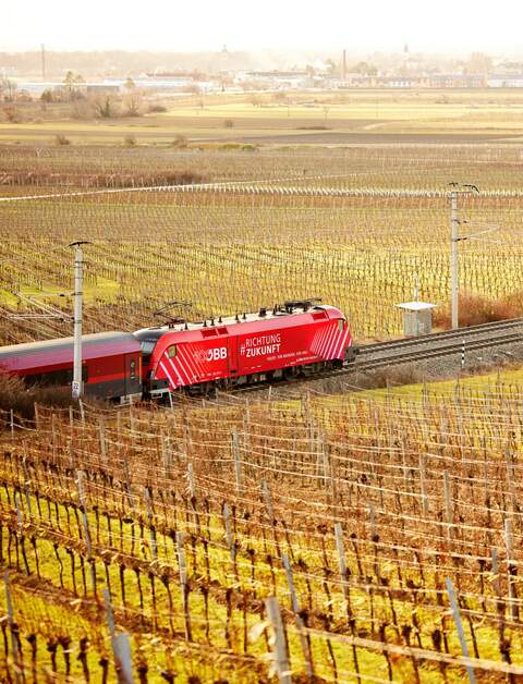 OBB Richtung Zukunft Zug faehrt vorbei an Reben | © ÖBB/Andreas Scheiblecker