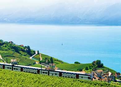 InterRegio Zug in der Naehe von Weinbergterrassen von Lavaux am Genfersee und den Schweizer Alpen | © Gettyimages.com/RomanBabakin