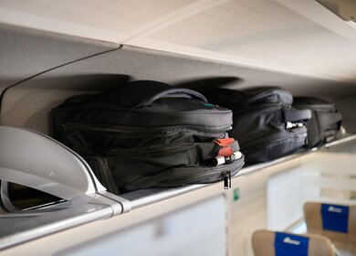 Koffer im Gepäckfach eines Trenitalia Zuges | © luigiceccon