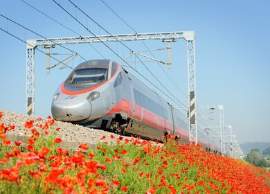 Frecciargento Zug von Trenitalia vor einem Mohnblumenfeld | © Trenitalia