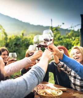 Freunde beim Rasten in den Weinbergen | ©  Gettyimage/franckreporter