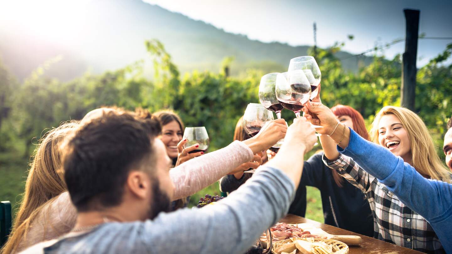 Freunde beim Rasten in den Weinbergen | ©  Gettyimage/franckreporter