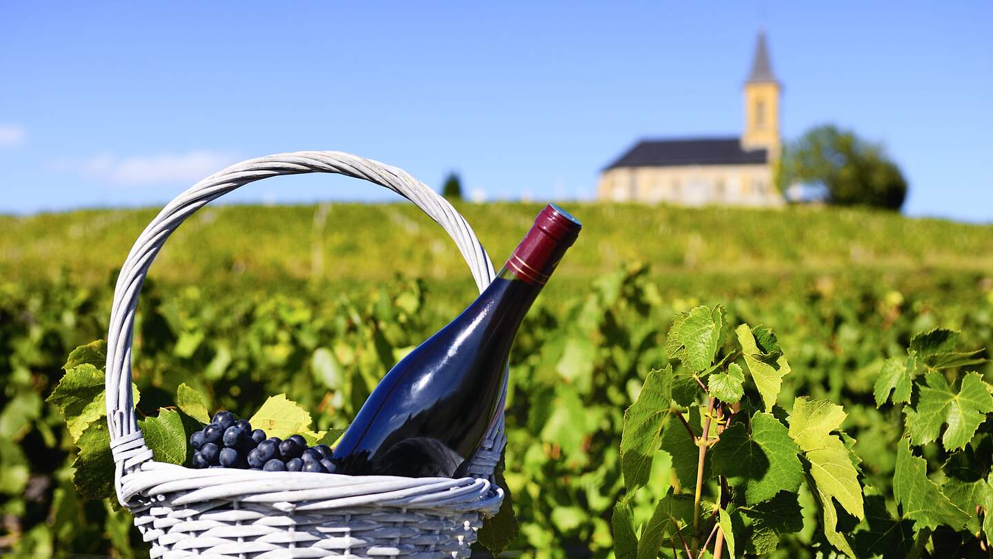 Typische Flasche Rotwein in der Landschaft von Bordeaux | © Gettyimages.com/ventdusud