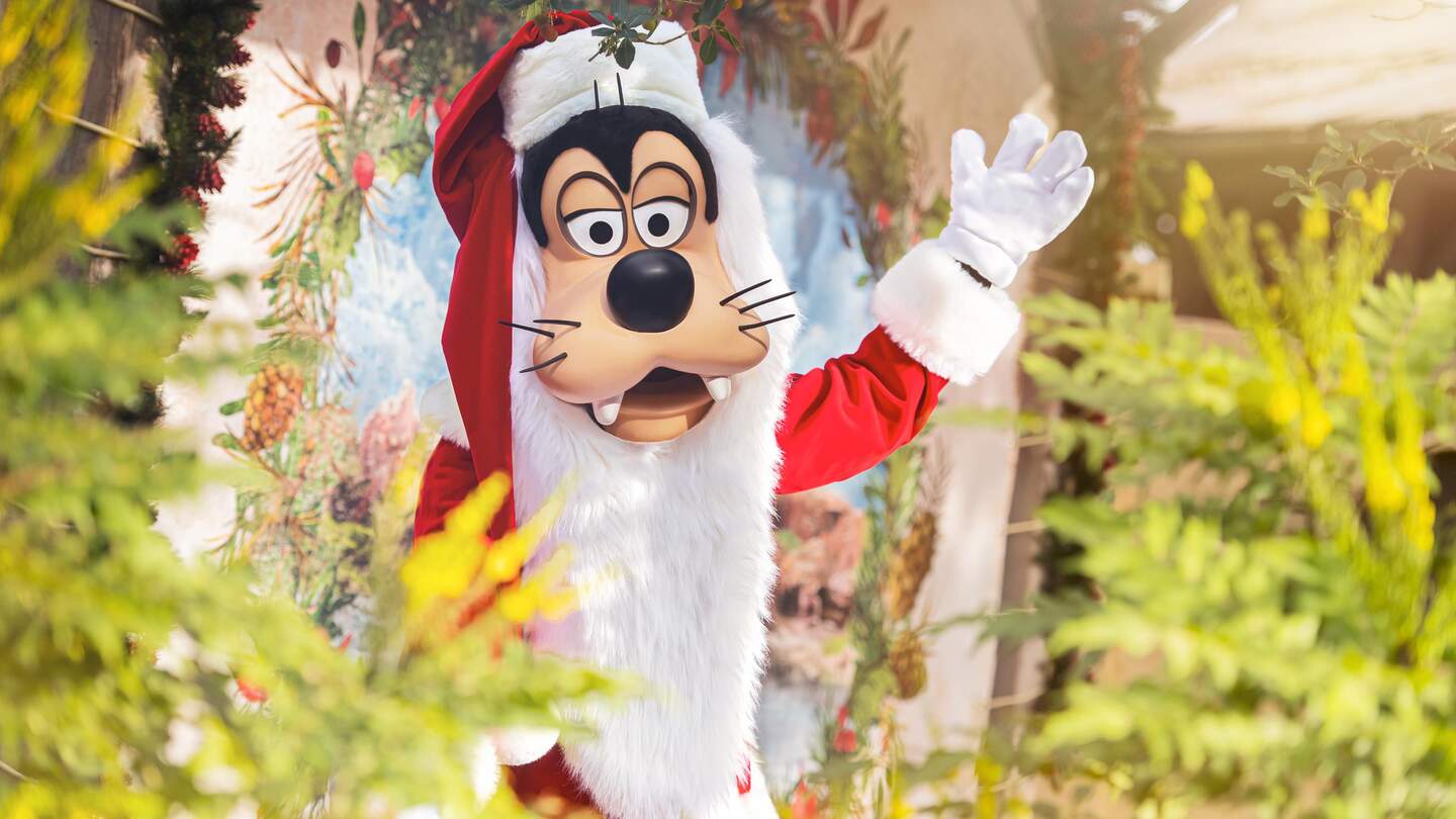 Disney Figur Goofy im Weihnachtsmannkostüm in Disneyland Park | © Disney