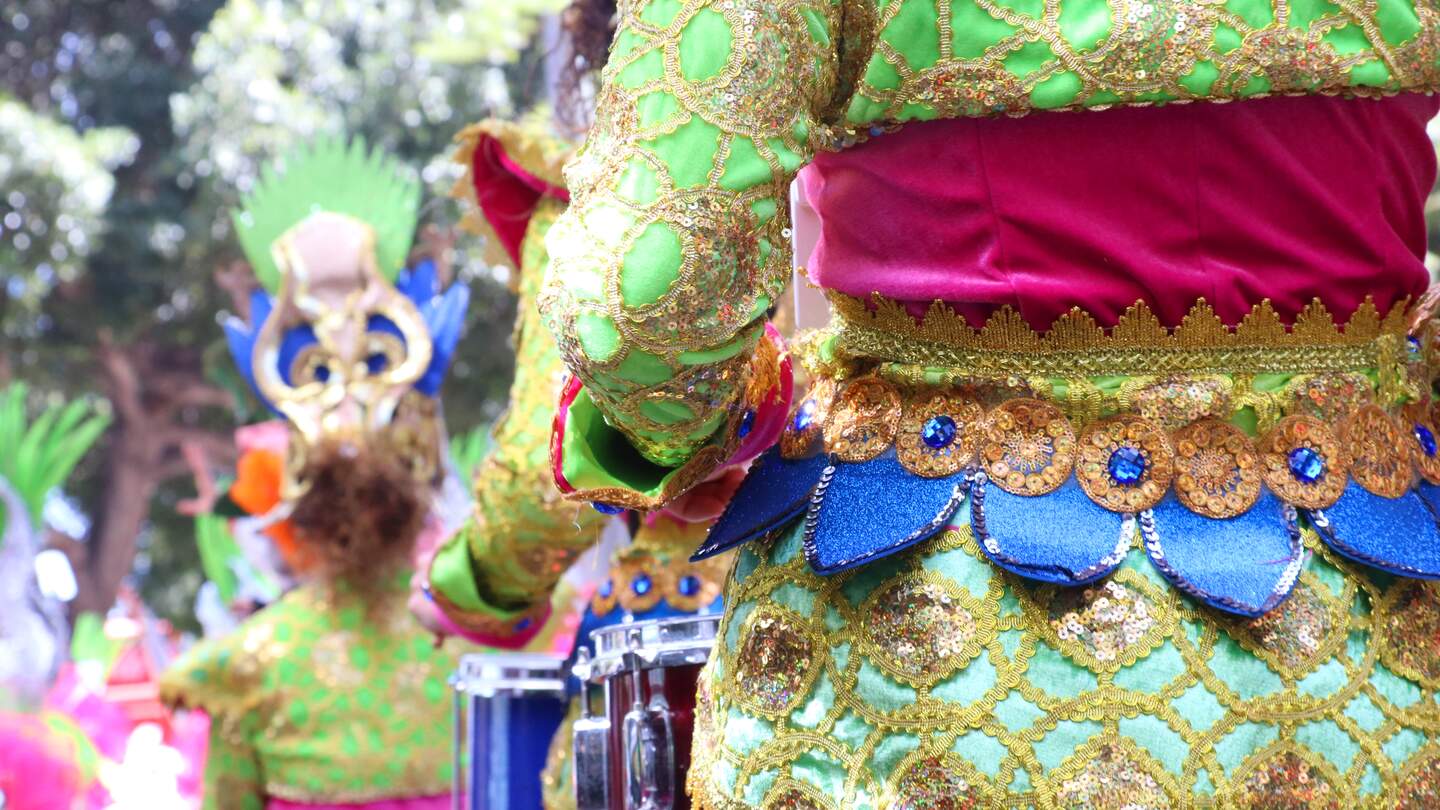 Detail eines Kostüms in Großaufnahme beim Faschingsumzug in Santa Cruz de Tenerife auf Teneriffa, Spanien | © GettyImages.com/pedrojperez